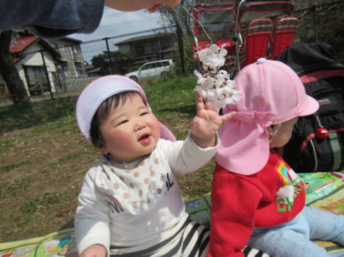 30.4お花見散歩写真②